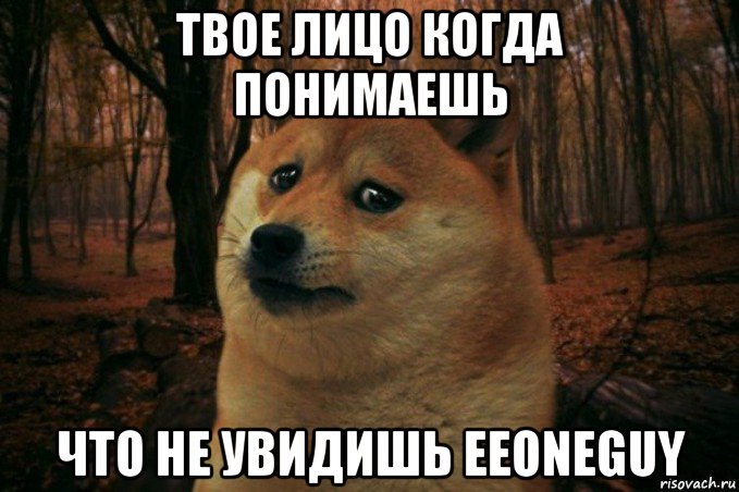 твое лицо когда понимаешь что не увидишь eeoneguy, Мем SAD DOGE