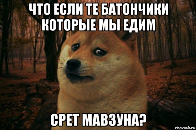 что если те батончики которые мы едим срет мавзуна?, Мем SAD DOGE