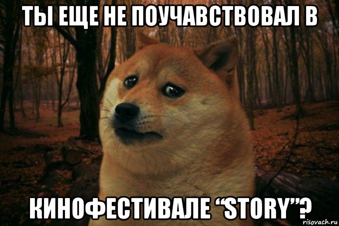 ты еще не поучавствовал в кинофестивале “story”?, Мем SAD DOGE