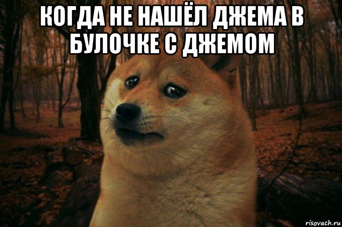 когда не нашёл джема в булочке с джемом , Мем SAD DOGE