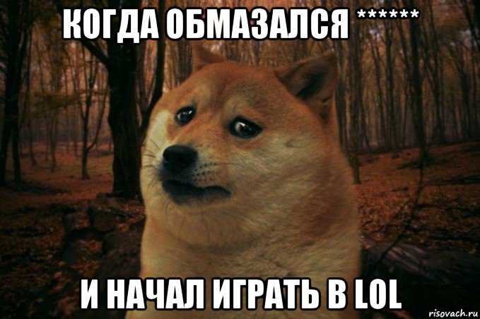 когда обмазался ****** и начал играть в lol, Мем SAD DOGE