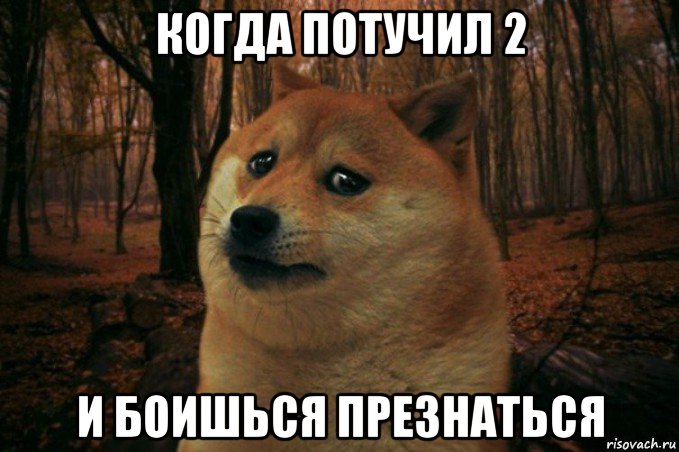 когда потучил 2 и боишься презнаться, Мем SAD DOGE