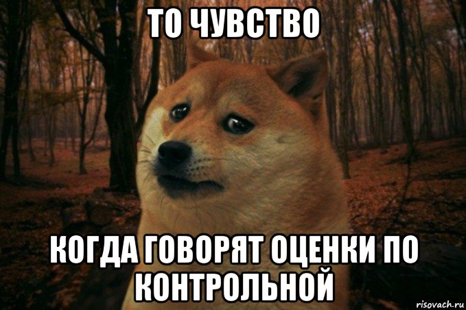 то чувство когда говорят оценки по контрольной, Мем SAD DOGE