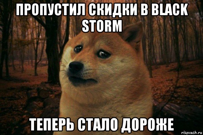 пропустил скидки в black storm теперь стало дороже, Мем SAD DOGE