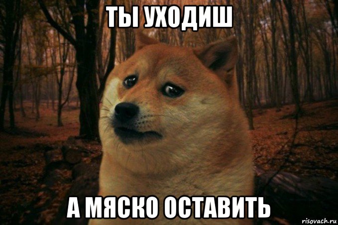 ты уходиш а мяско оставить, Мем SAD DOGE