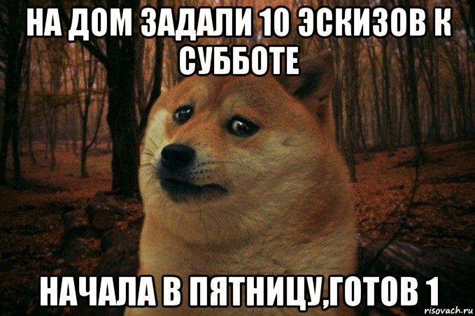 на дом задали 10 эскизов к субботе начала в пятницу,готов 1, Мем SAD DOGE