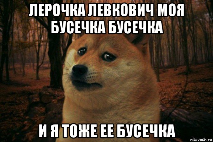 лерочка левкович моя бусечка бусечка и я тоже ее бусечка, Мем SAD DOGE