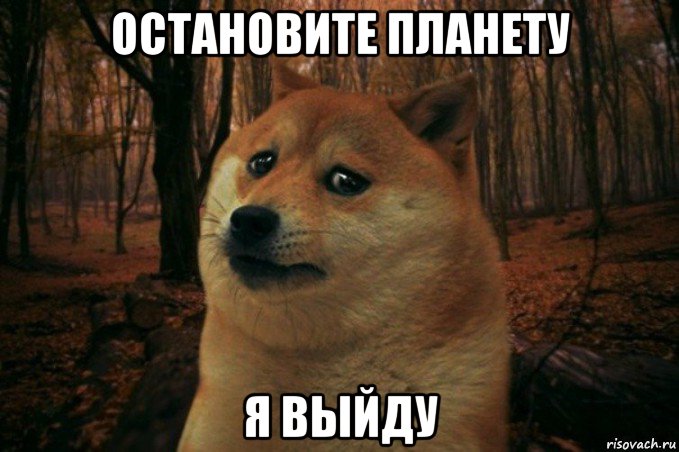 остановите планету я выйду, Мем SAD DOGE