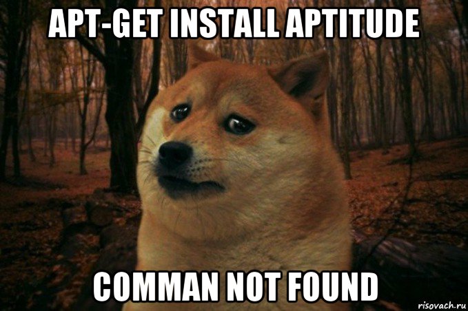apt-get install aptitude comman not found, Мем SAD DOGE