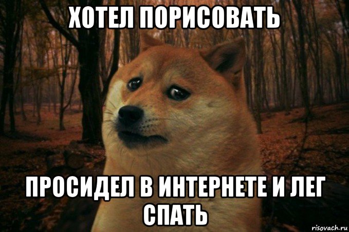 хотел порисовать просидел в интернете и лег спать, Мем SAD DOGE