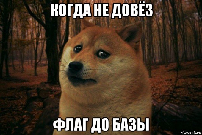 когда не довёз флаг до базы, Мем SAD DOGE