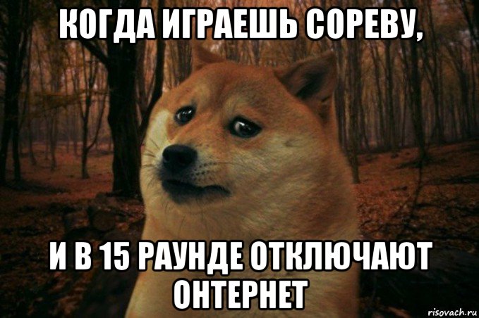 когда играешь сореву, и в 15 раунде отключают онтернет, Мем SAD DOGE