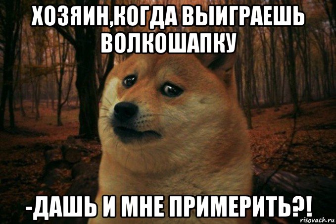 хозяин,когда выиграешь волкошапку -дашь и мне примерить?!, Мем SAD DOGE