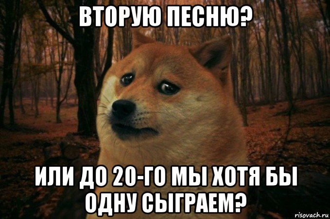 вторую песню? или до 20-го мы хотя бы одну сыграем?, Мем SAD DOGE