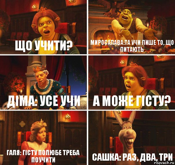 що учити? Миросалава:Та учи лише то, що питають Діма: усе учи а може гісту? Галя: гісту полюбе треба поучити Сашка: раз, два, три, Комикс  Шрек Фиона Гарольд Осел