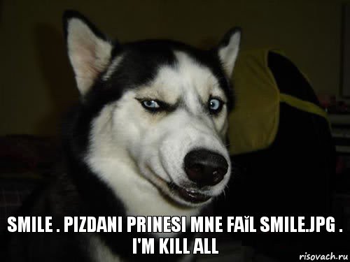 Smile . pizdani prinesi mne faĭl smile.jpg . I'm kill all, Комикс  Собака подозревака