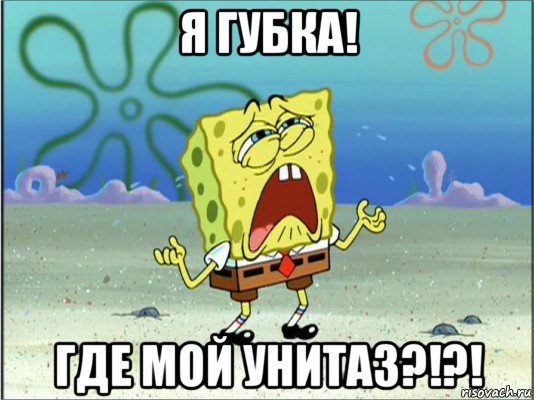 я губка! где мой унитаз?!?!, Мем Спанч Боб плачет