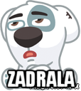  zadrala, Мем  Стикер вк