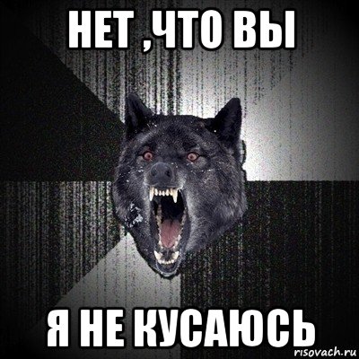 нет ,что вы я не кусаюсь, Мем Сумасшедший волк