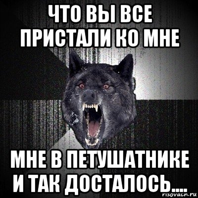 что вы все пристали ко мне мне в петушатнике и так досталось...., Мем Сумасшедший волк