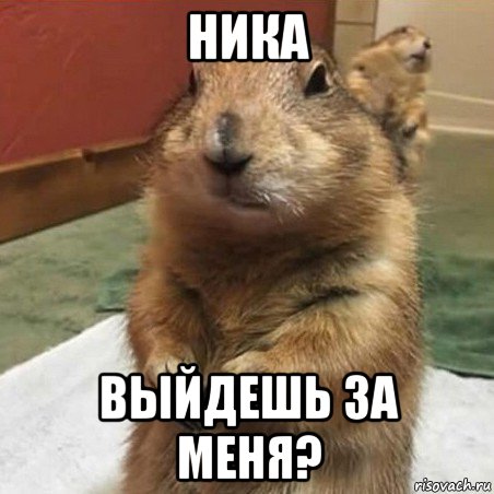 ника выйдешь за меня?