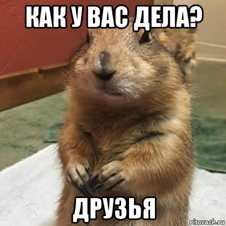 как у вас дела? друзья