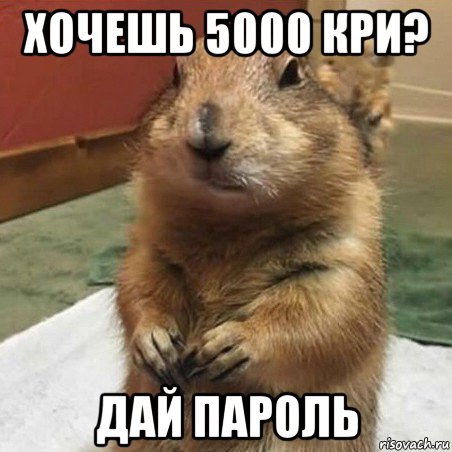 хочешь 5000 кри? дай пароль