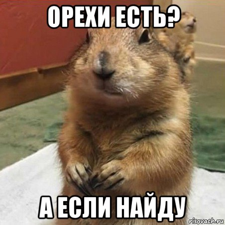 орехи есть? а если найду