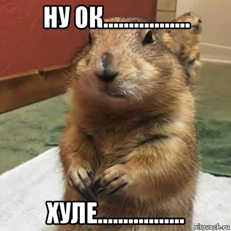 ну ок................. хуле................., Мем Суслик спрашивает