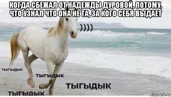 когда сбежал от надежды дуровой, потому, что узнал что она не та, за кого себя выдает , Мем   Тыгыдык