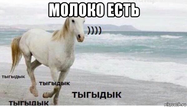 молоко есть , Мем   Тыгыдык