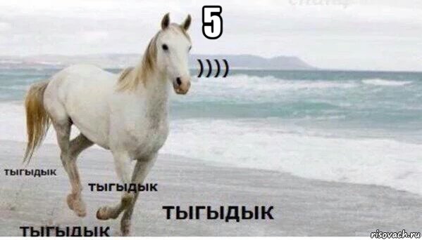 5 , Мем   Тыгыдык