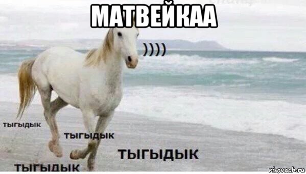 матвейкаа , Мем   Тыгыдык