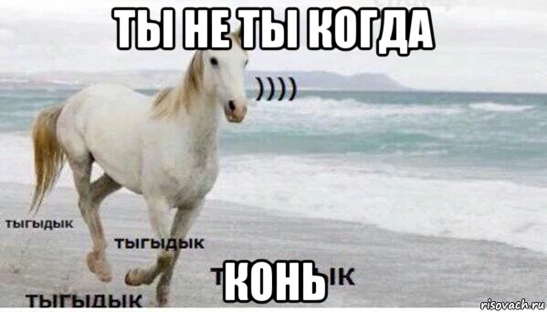 ты не ты когда конь