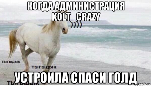 когда администрация kolt_crazy устроила спаси голд, Мем   Тыгыдык