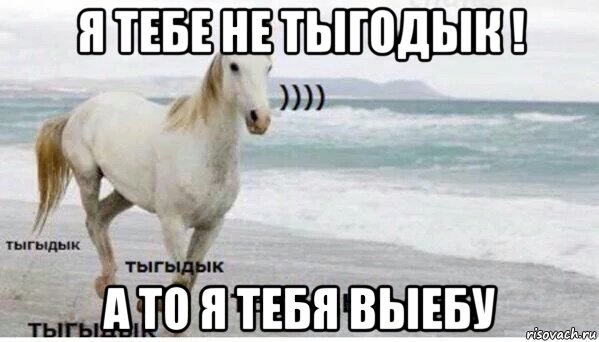 я тебе не тыгодык ! а то я тебя выебу