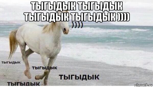 тыгыдык тыгыдык тыгыдык тыгыдык )))) , Мем   Тыгыдык