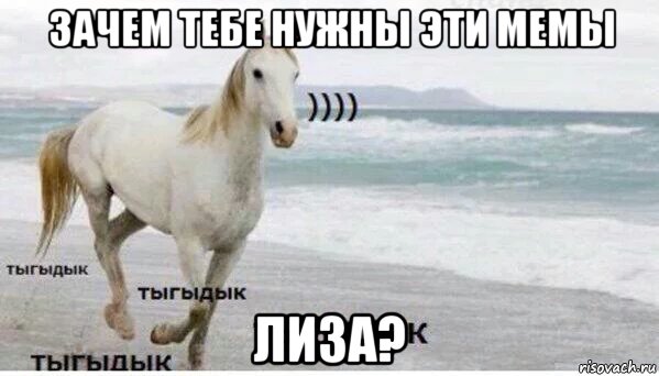 зачем тебе нужны эти мемы лиза?, Мем   Тыгыдык