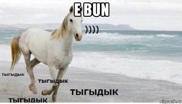 e bun , Мем   Тыгыдык