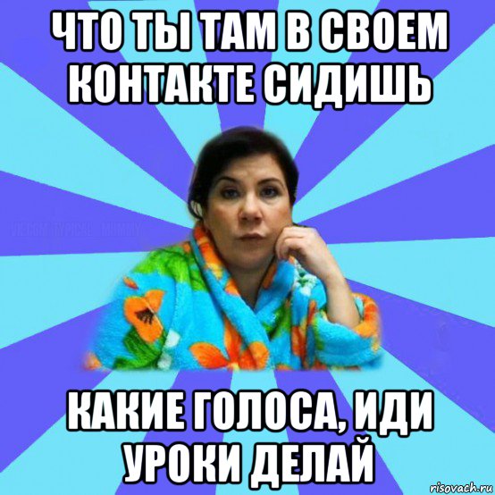 что ты там в своем контакте сидишь какие голоса, иди уроки делай, Мем типичная мама