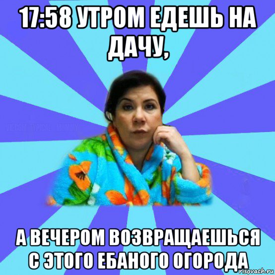 17:58 утром едешь на дачу, а вечером возвращаешься с этого ебаного огорода, Мем типичная мама