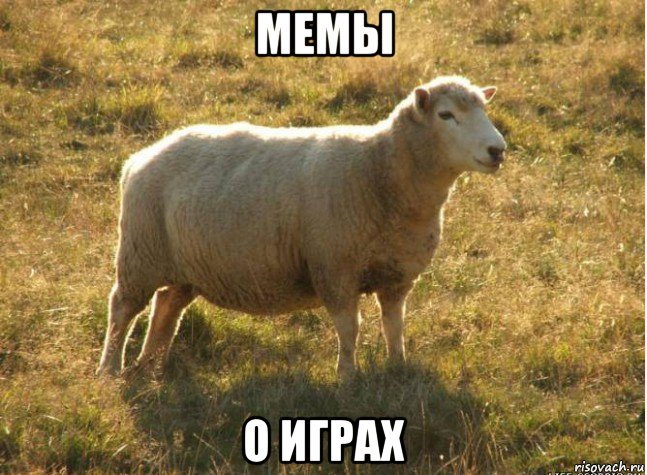 мемы о играх, Мем Типичная овца