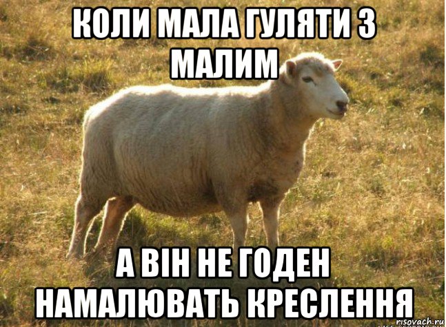 коли мала гуляти з малим а він не годен намалювать креслення, Мем Типичная овца