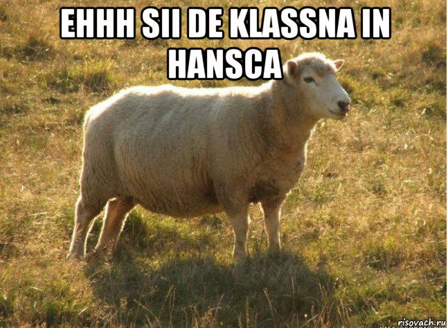 ehhh sii de klassna in hansca 