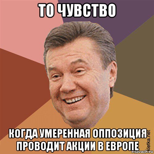 то чувство когда умеренная оппозиция проводит акции в европе, Мем Типовий Яник