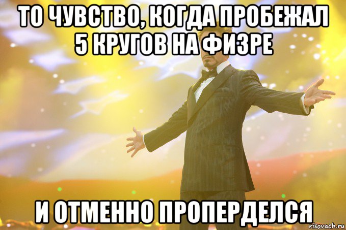 то чувство, когда пробежал 5 кругов на физре и отменно проперделся, Мем Тони Старк (Роберт Дауни младший)