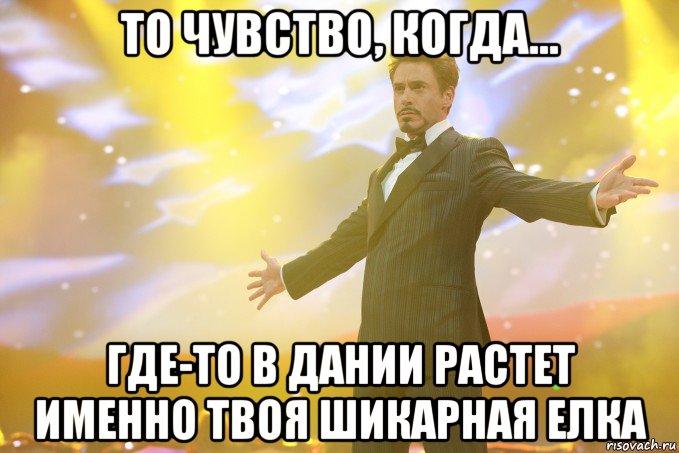 то чувство, когда... где-то в дании растет именно твоя шикарная елка, Мем Тони Старк (Роберт Дауни младший)