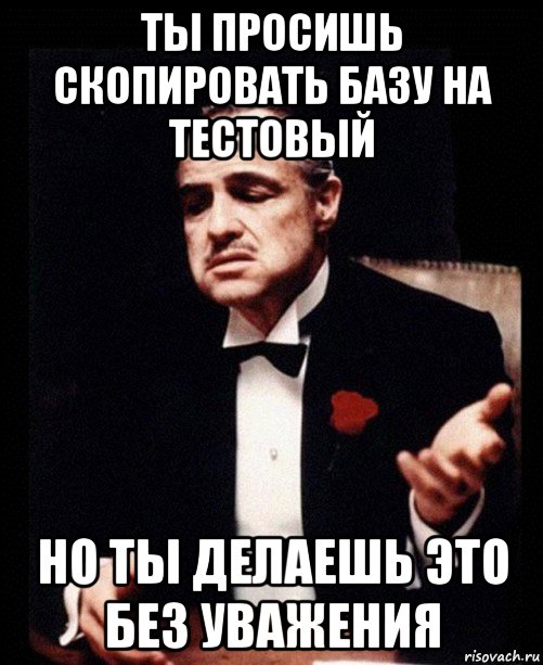 ты просишь скопировать базу на тестовый но ты делаешь это без уважения, Мем ты делаешь это без уважения