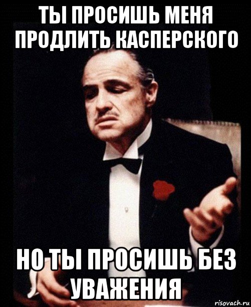 ты просишь меня продлить касперского но ты просишь без уважения, Мем ты делаешь это без уважения