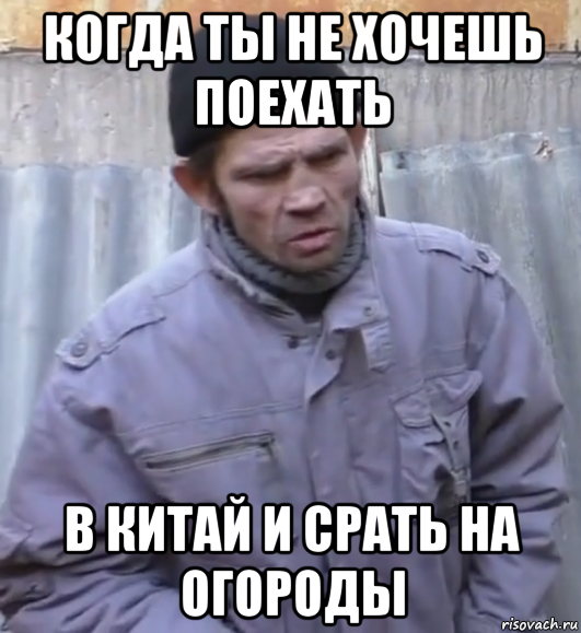 когда ты не хочешь поехать в китай и срать на огороды, Мем  Ты втираешь мне какую то дичь